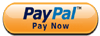 Paypal payment gateway Brainmine web solution