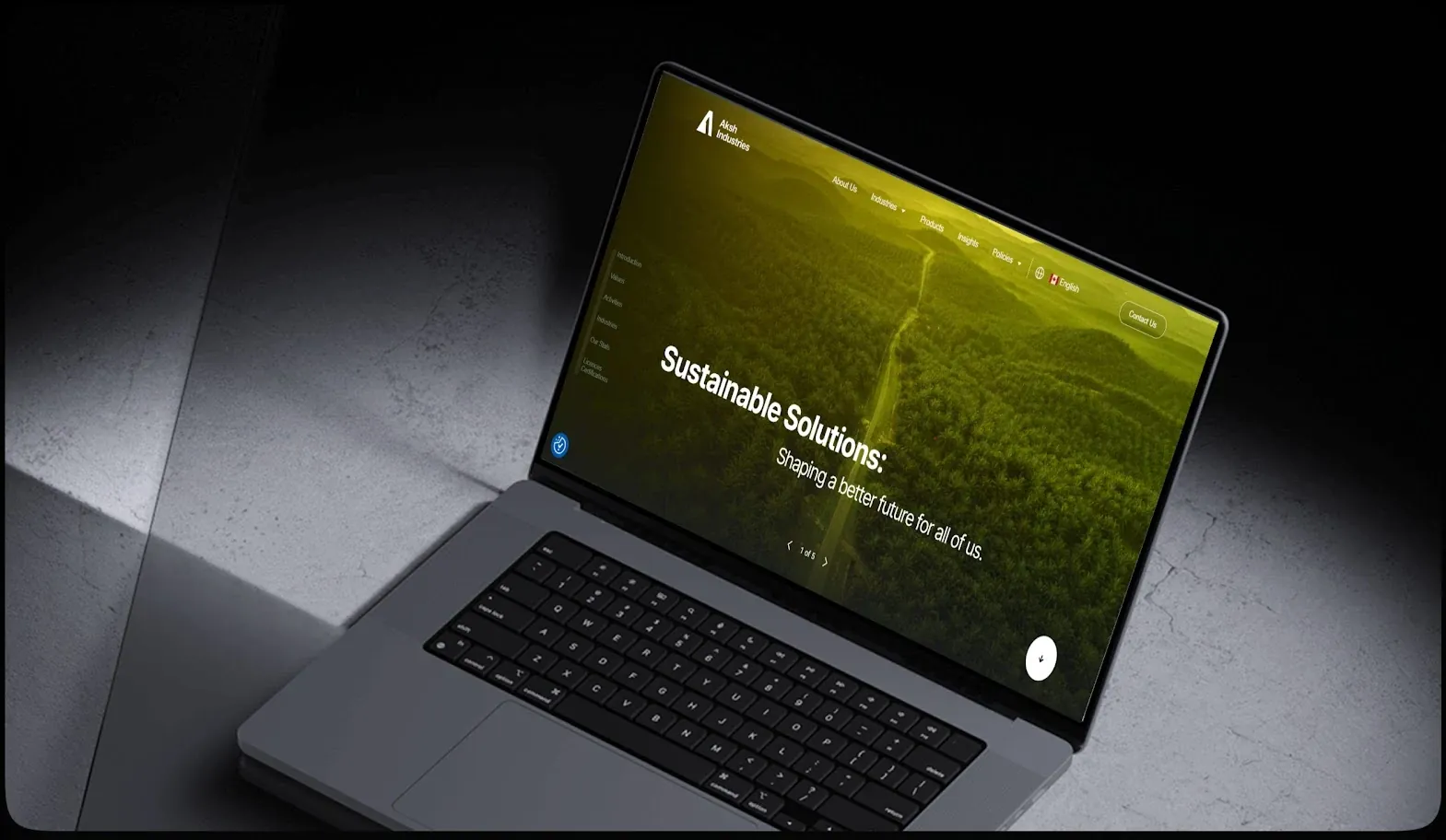 Aksh website design and development project results