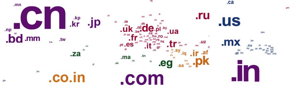 Domain Name Registration Pune