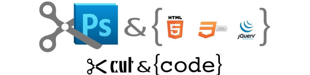 web development company in pune