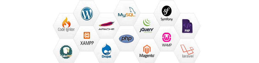 web development company in pune