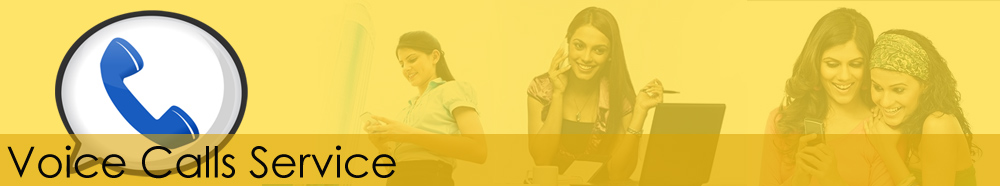 Bulk Voice Call Services | Voice SMS Service